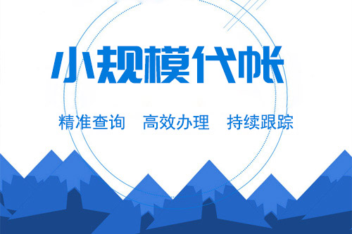 小公司如何記賬，哪些可以采??？