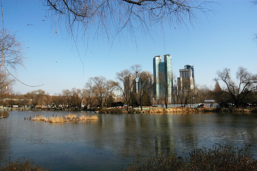零申報(bào)流程是什么
